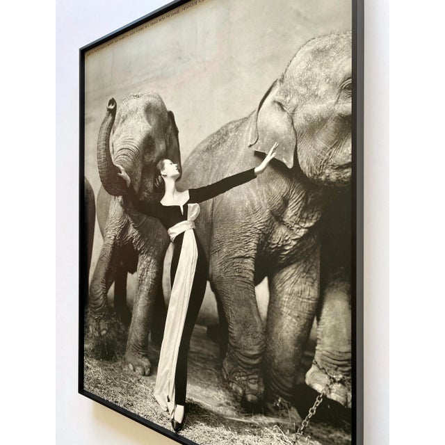 Richard Avedon Vintage 1978 Lithograph Photo Print Framed