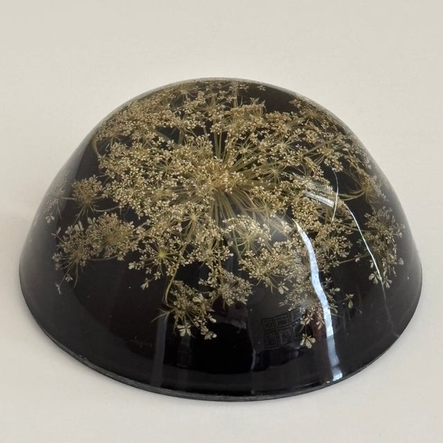 Vintage Botanical Resin Paperweight With Pressed Queen Anne's Lace For Sale - Image 9 of 17