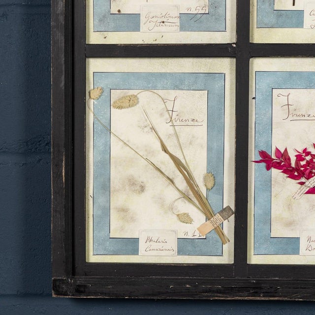 20th Century Italian Large Oak Frame with Pressed Flowers and Herbs For Sale - Image 11 of 18