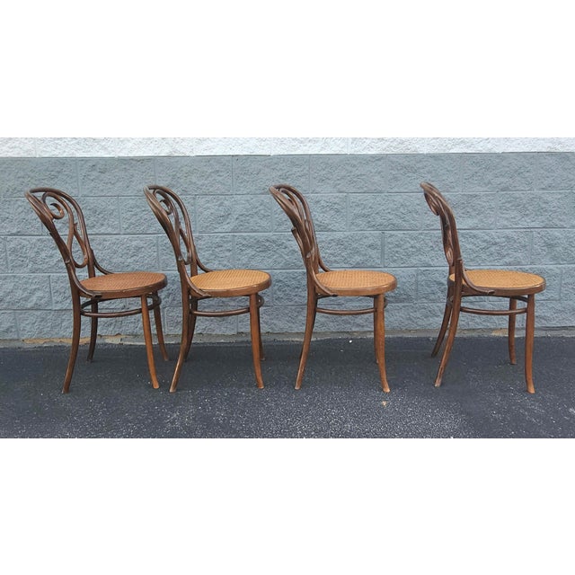 Set of 4 Thonet No 4 "Cafe Daum" Bentwood Chairs by Salvatore Leone, Circa 1960s For Sale In Washington DC - Image 6 of 11