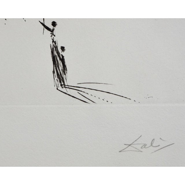 Surrealism 1960s Dali FlorDali/Les Fruits Cherries Hand Signed Numbered Etching Surreal Art For Sale - Image 3 of 4