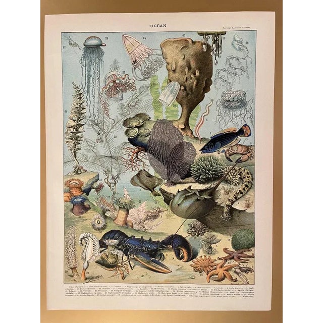 Adolphe Millot, Ocean Surface, 1900, Lithographic Engraving For Sale - Image 5 of 5