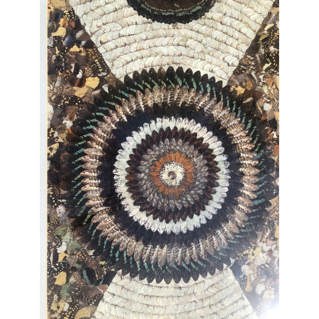Contemporary Vintage Butterfly Wing Kaleidoscope Art For Sale - Image 3 of 6