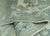 Gray Turkish Oushak Rug 6'1" x 9'1" #19127 For Sale - Image 8 of 8