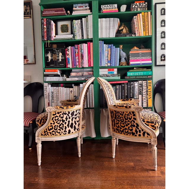 French Vintage Louis XVI Bergere Chairs in Velvet Leopard For Sale - Image 3 of 6