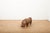 Brown Animal Rhino Ottoman in Leather by Dimitri Omersa for Omersa, 1963 For Sale - Image 8 of 13
