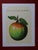 René MAGRITTE (1898-1967) Ceci n'est pas une pomme Lithograph on vellum BFK Rives paper, 2010 Signed in the plate Numbered...