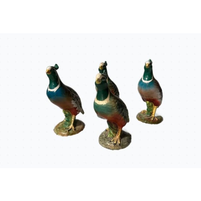 Update: 2 figurines are left. The quails with the brightest blue plumage are available (front-most and back-most in the...