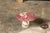 Set of Three American Midcentury Painted Concrete Mushroom Garden Ornaments For Sale - Image 10 of 12