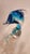 Mid-Century Modern Mid-Century Murano Glass Dolphin Sculpture For Sale - Image 3 of 7