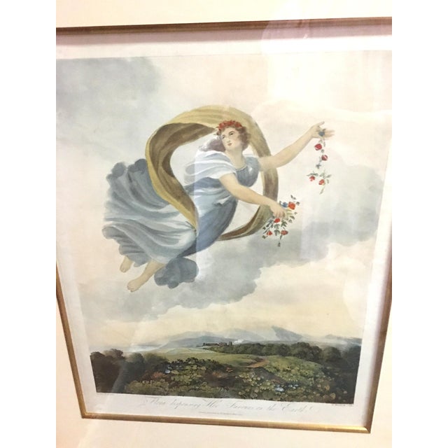 Early 19th Century Framed Print Robert John Thornton Flora Dispensing Her Favors From the Temple of Flora 1807 For Sale - Image 5 of 12
