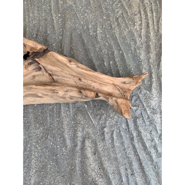 Early 21st Century Vintage Folk Art Hand Carved Driftwood Whale Serving Tray For Sale - Image 5 of 10