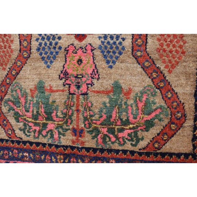 Tan Antique Persian Kurdish Rug, For Sale - Image 8 of 12