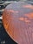 Knoll Oval Tulip Dining or Conference Table With Rosewood | Eero Saarinen for Knoll Style For Sale - Image 4 of 12