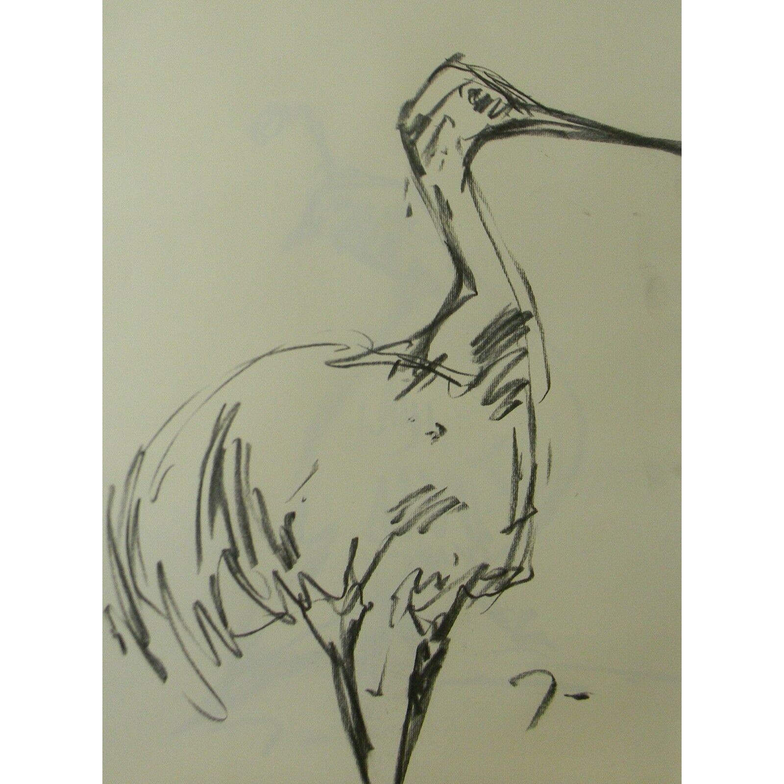 Jose Trujillo Original Crane Bird Signed Charcoal On Paper Sketch Drawing Chairish