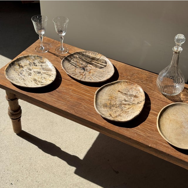 Small Oval Beige Petrified Wood Trinket Dish or Tray with Speckled Rings For Sale - Image 3 of 18