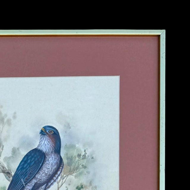 Realism Vintage 1985 Watercolor of Hawk – Signed Bird Painting in Gold Frame For Sale - Image 3 of 6