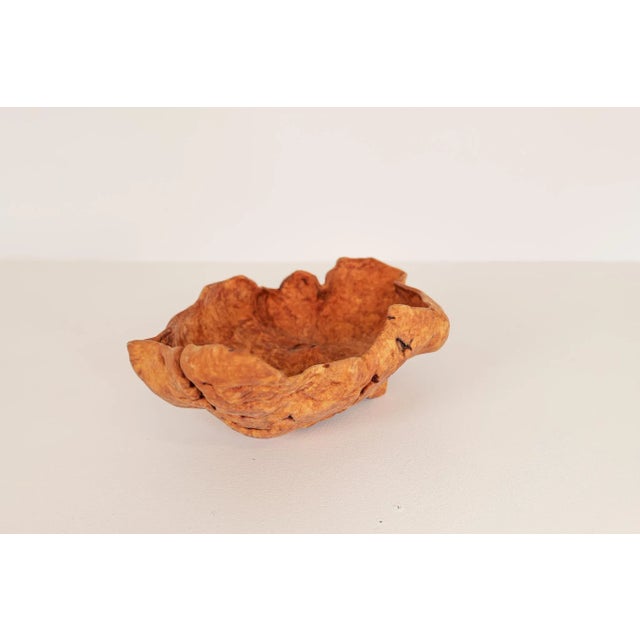 Large Scandinavian Modern Swedish Folk Art Organic Burl Bowl, 1960s For Sale - Image 6 of 11