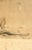 Signed 1903 Reclining Homoerotic Nude in Lion Headpiece For Sale - Image 4 of 6