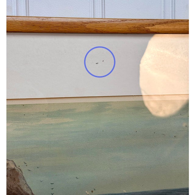 Antique Coastal Stripped Bass "Game Fishes of the Us" by Kilbourne Lithograph For Sale - Image 11 of 13