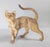 Modern 21st Century Modern Cubist Cat Figure Sculpture by Border Fine Arts For Sale - Image 3 of 11