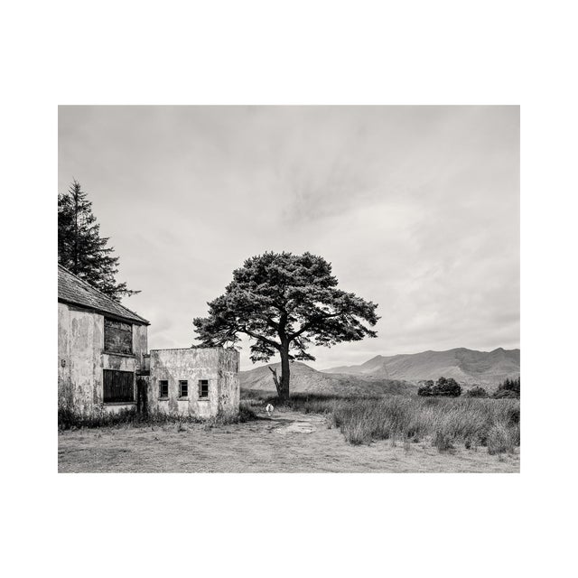 Guy Sargent, Killarney, Archival Pigment Print For Sale - Image 4 of 6