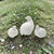 Mid-Century Modern Set of Three Mid-Century Japanese White Porcelain Quail Figurines For Sale - Image 3 of 17