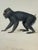 Set of 4 Hand-Colored French Primate Engravings by Jean-Baptiste Audebert For Sale - Image 9 of 18