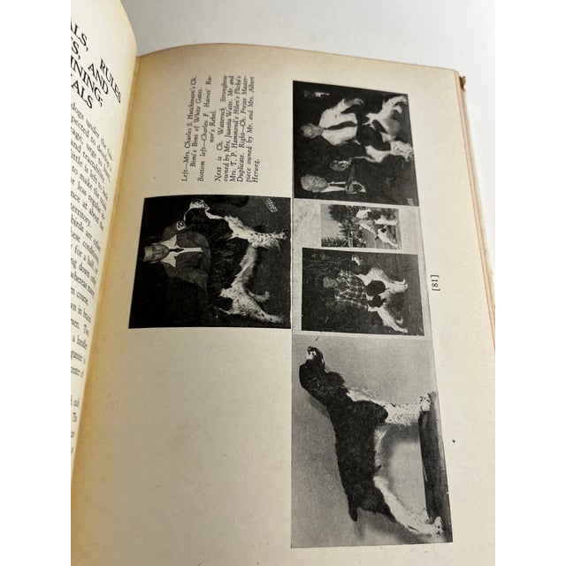 1951 the Springer Spaniel by Maxwell Riddle Book | Chairish