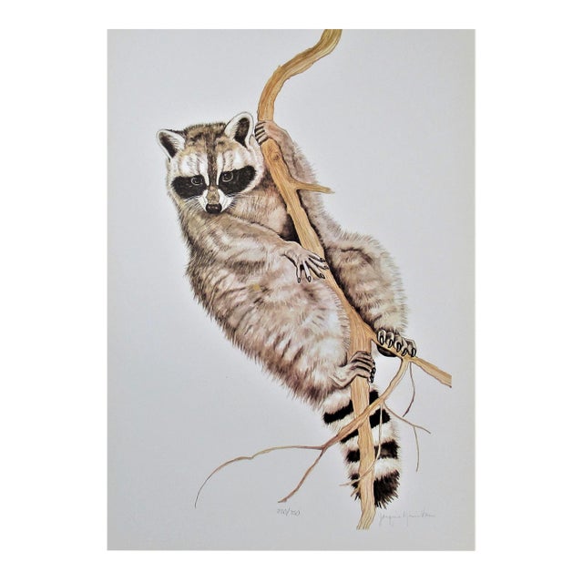 Jacquie Marie Vaux, Racoon, Circa 1990 For Sale