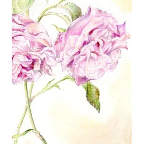 Natural history botanical art, very detailed and delicately colored. Inspired by vintage shabby chic floral art, this is a...