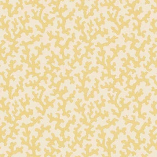 Sample- Schumacher X Veere Grenney Folly Fabric in Straw For Sale