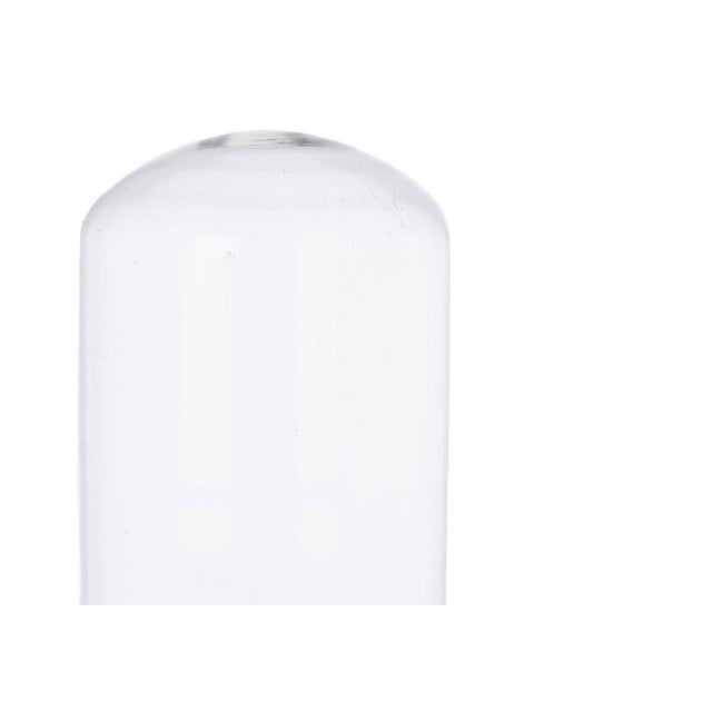 Crystal Glass Dome, 19th Century For Sale - Image 4 of 8