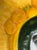 Modern Modern Icon With Golden Halo, Original Painting For Sale - Image 3 of 6