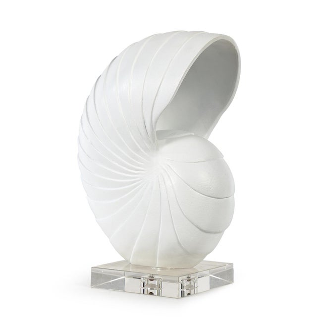 2020s Nautilus Shell Large, White For Sale - Image 5 of 5
