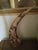 Vintage 1970s Horns With Oriental Dragon Design Mounted on Wood - a Pair For Sale - Image 13 of 16