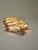 AVMazzega Lp 276 Murano Glass Sconce Panel attributed to Carlo Nason for Mazzega, 1970, Set of 8 For Sale - Image 4 of 8