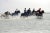 Horse Riding, Race at Rising Tide, 2003, Color Photograph For Sale - Image 4 of 5
