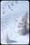 A Group Of Skiers On The Piste 1955 A group of skiers on the piste at the St. Anton ski resort, Austria, 1955. Toni...