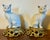Ceramic Antique 19th Century Japanese Blanc De Chine Models of Seated Cats Mounted on French Gilt Bronze Ormolu Bases - A Pair For Sale - Image 7 of 12