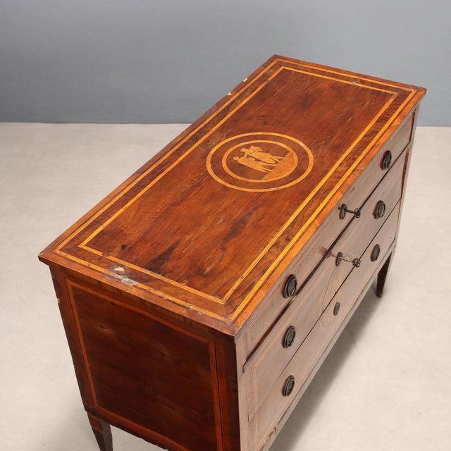 Brown Neoclassical Chest of Drawers in Walnut For Sale - Image 8 of 14