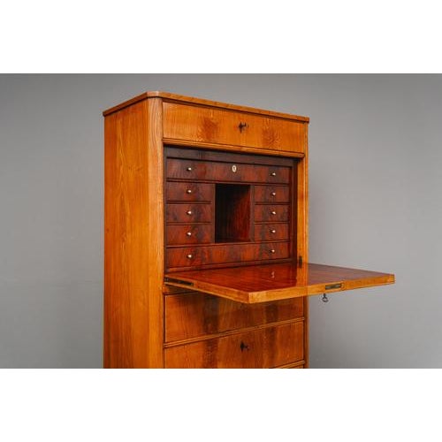 Brown Biedermeier Standing Secretaire in Mahogany For Sale - Image 8 of 18