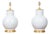 Pair of Asian Porcelain Ginger Jars Table Lamps - USA Wired For Sale