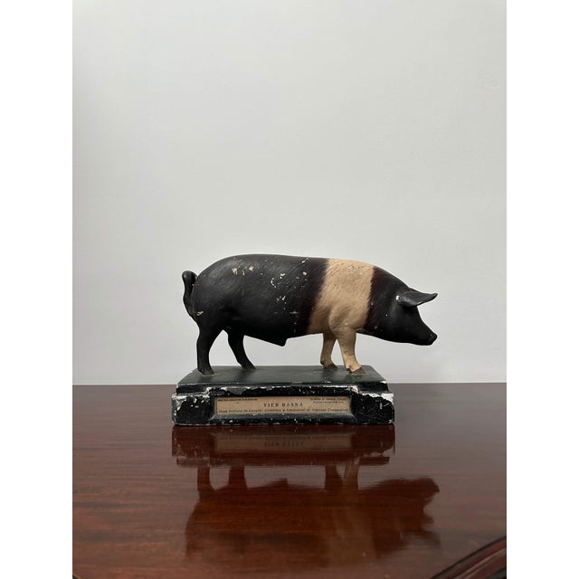 1920s Vintage Painted Plaster Pig Models, Ministry of Agriculture, 1920s-1940s, Set of 2 For Sale - Image 5 of 7