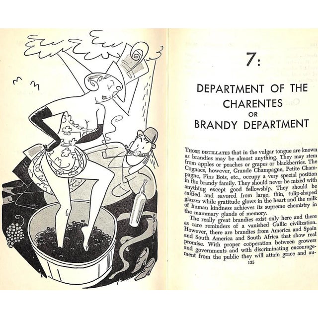 White "Crosby Gaige's Cocktail Guide and Ladies' Companion" 1946 For Sale - Image 8 of 13