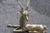 Deer Sculpture in Solid Brass, Italy, 1950s For Sale - Image 6 of 8
