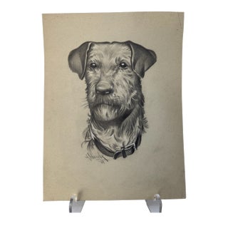 1940s Original Signed Graphite Illustration of Terrier Dog Portrait, 12 × 9 In. For Sale