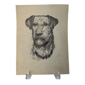 1940s Original Signed Graphite Illustration of Terrier Dog Portrait, 12 × 9 In.