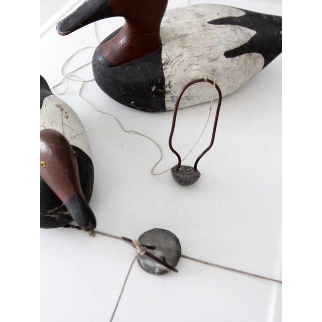 Wood Pair of Vintage Wooden Canvasback Duck Decoys For Sale - Image 7 of 15