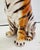 Tiger Statue in Ceramic from Ceramiche Boxer For Sale - Image 4 of 7